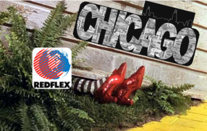 chicago crushes redflex